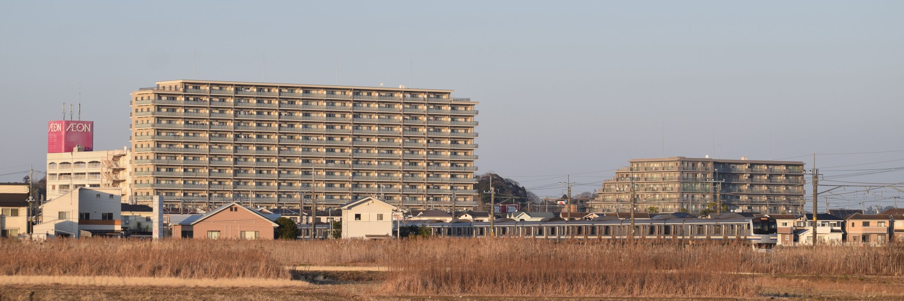 みやこの