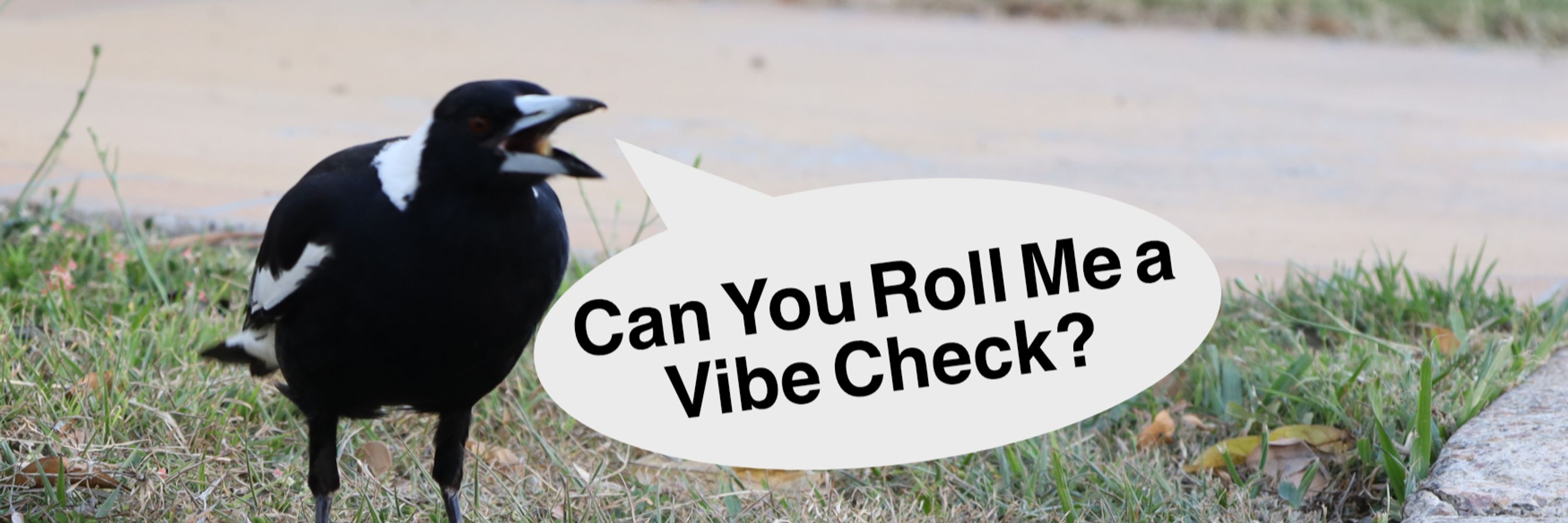 CanYouRollMeAVibeCheck