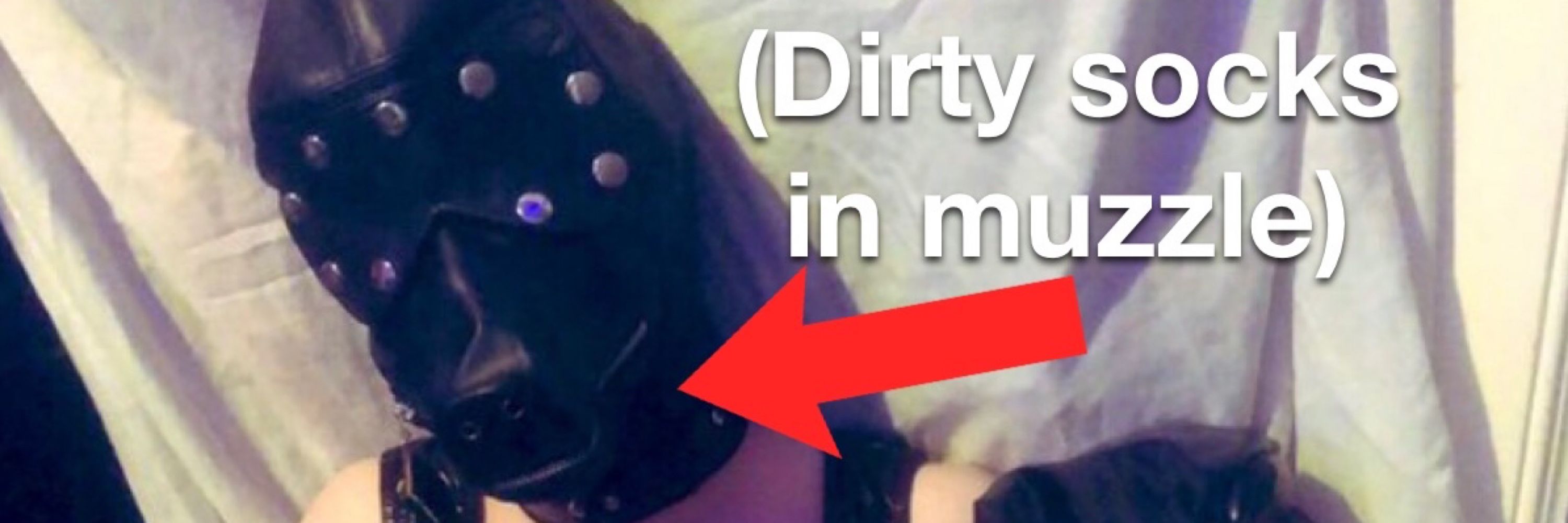 ShinyPupSam