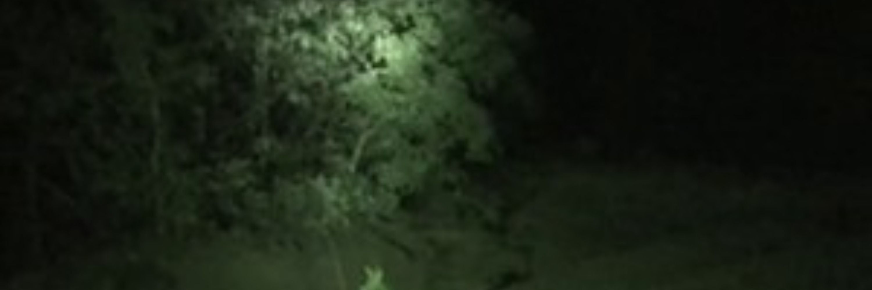 objeto voador não identificado