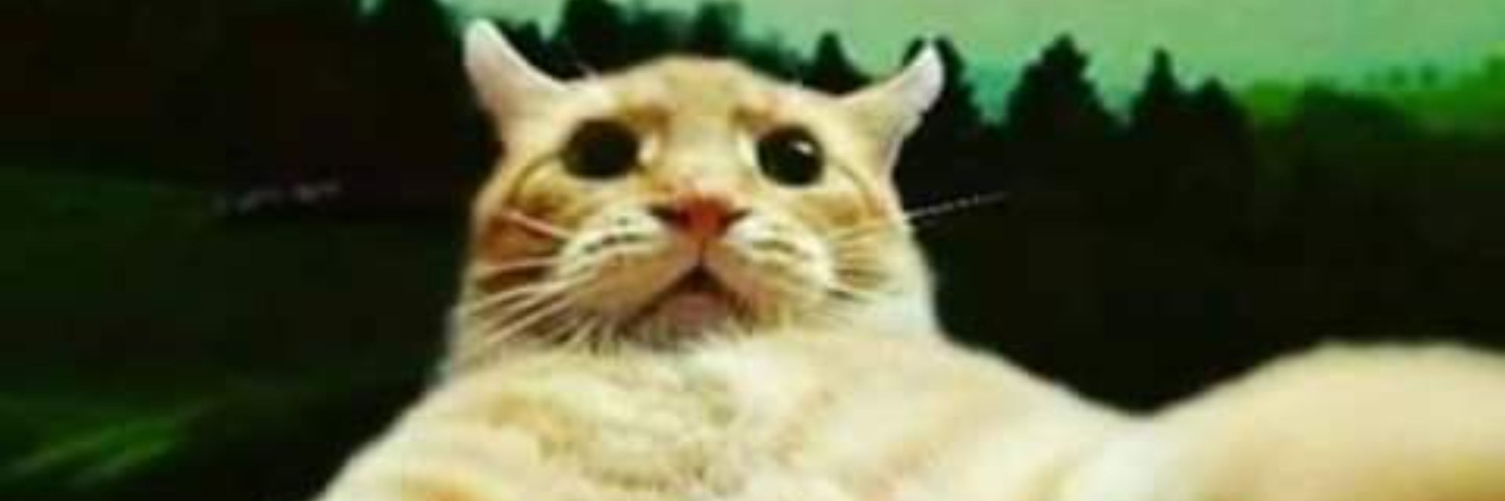 Sáfi