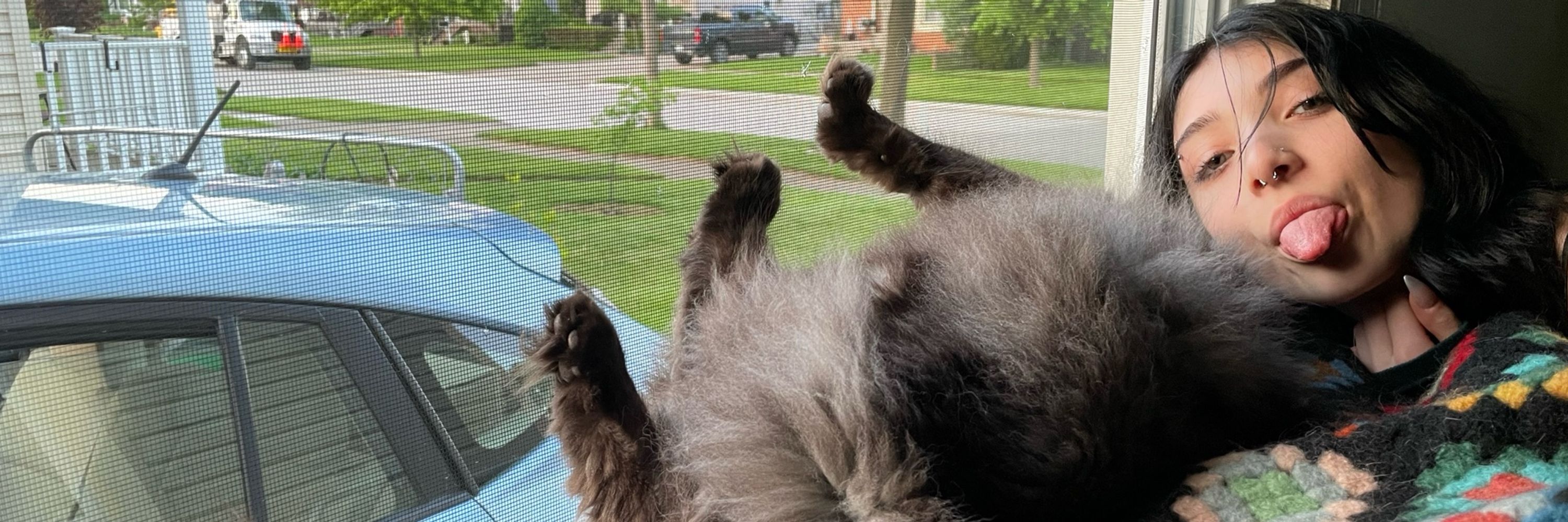 meowrowr
