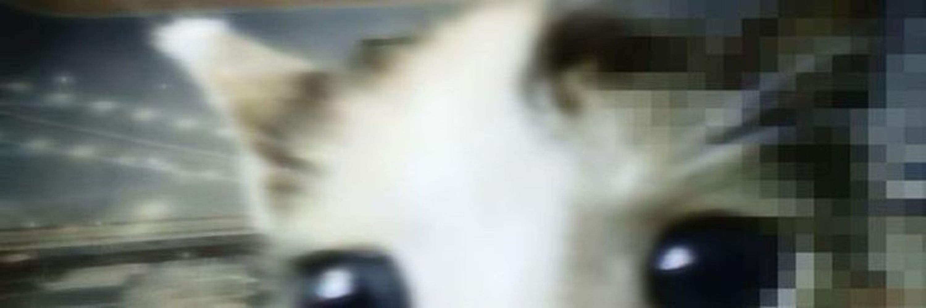 acey