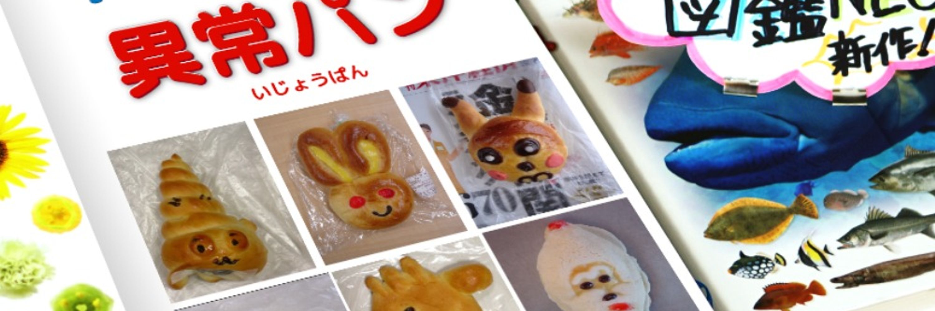 oiroppa
