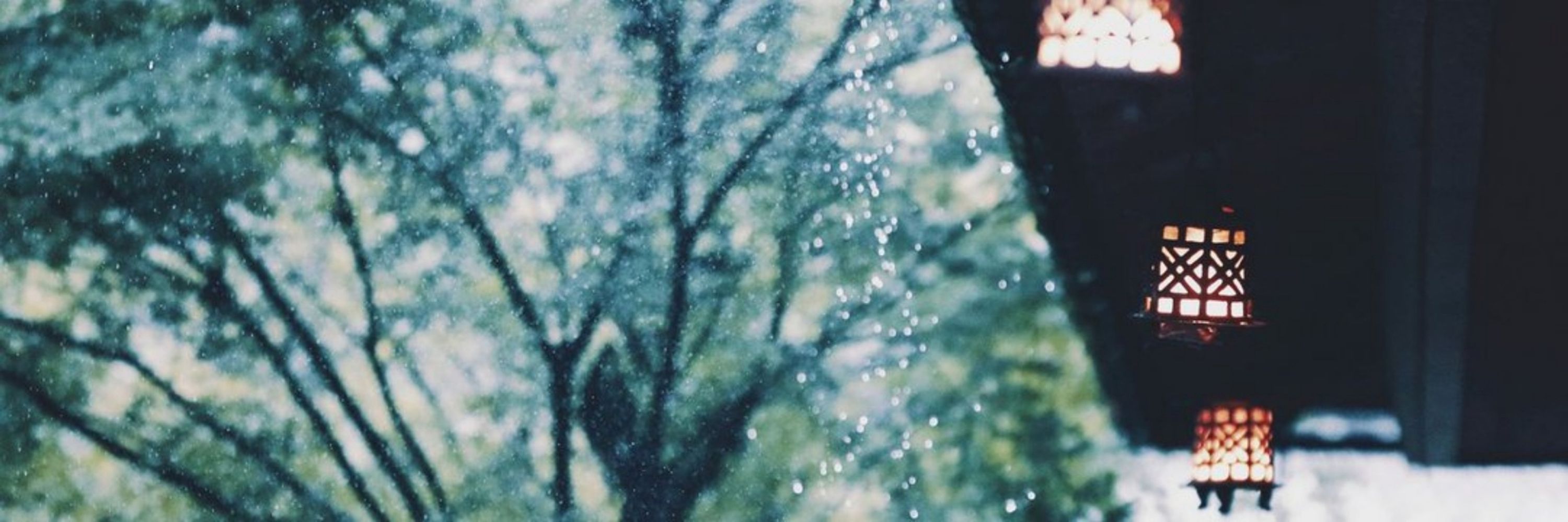 翠雨