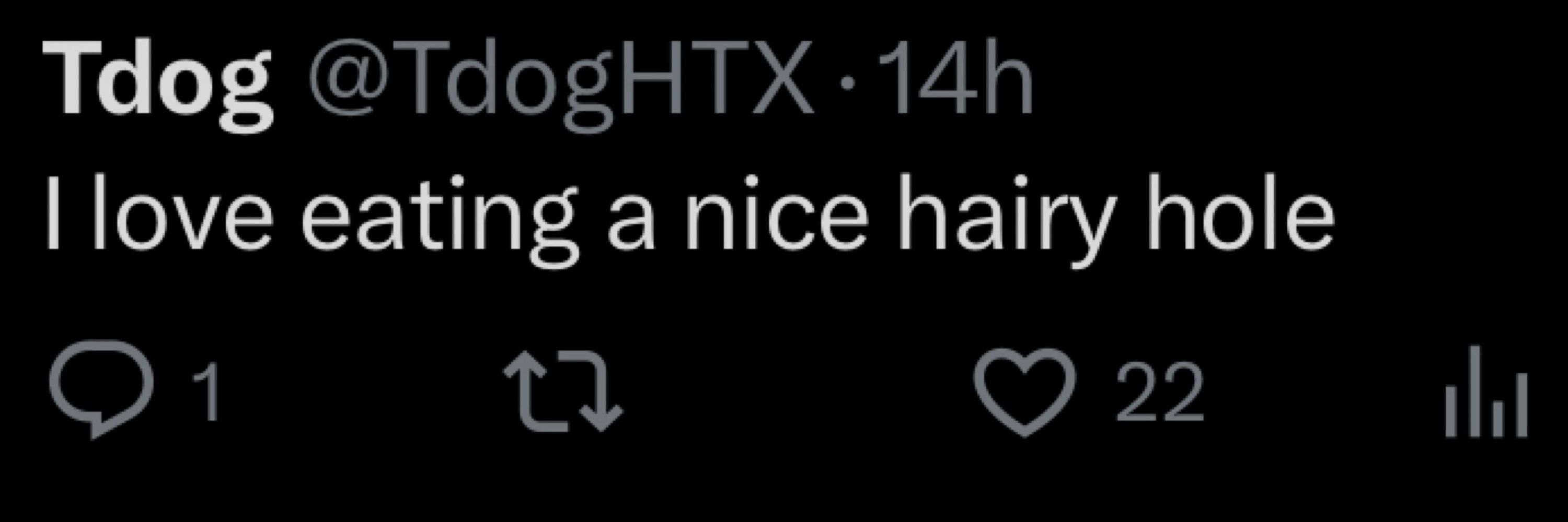 TdogHTX