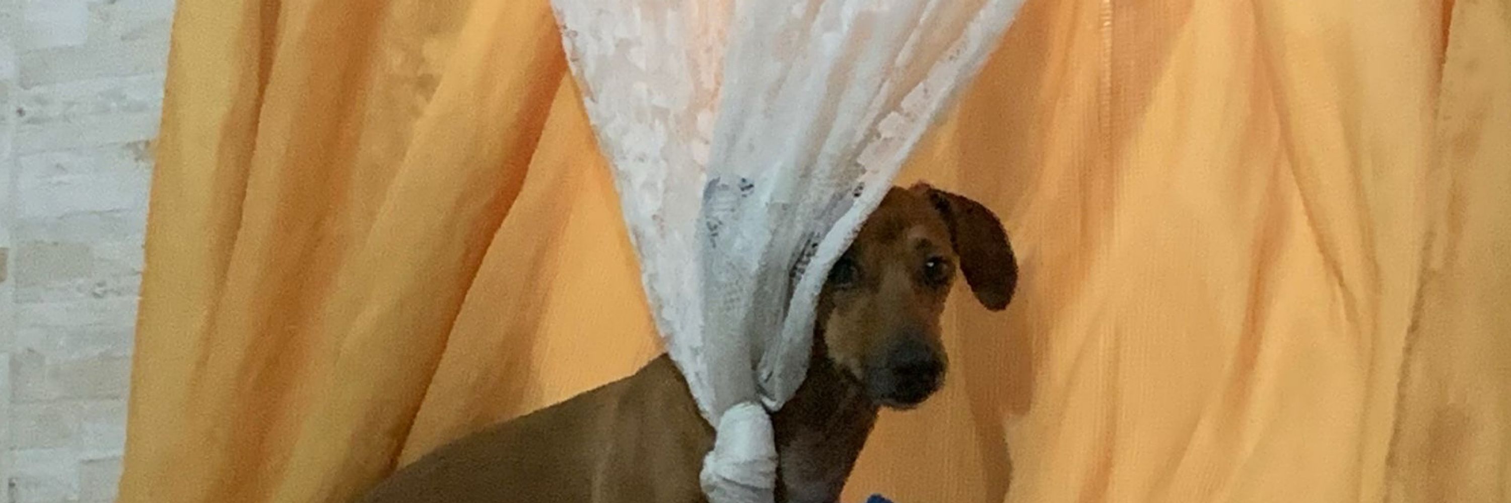 Vitória 💋