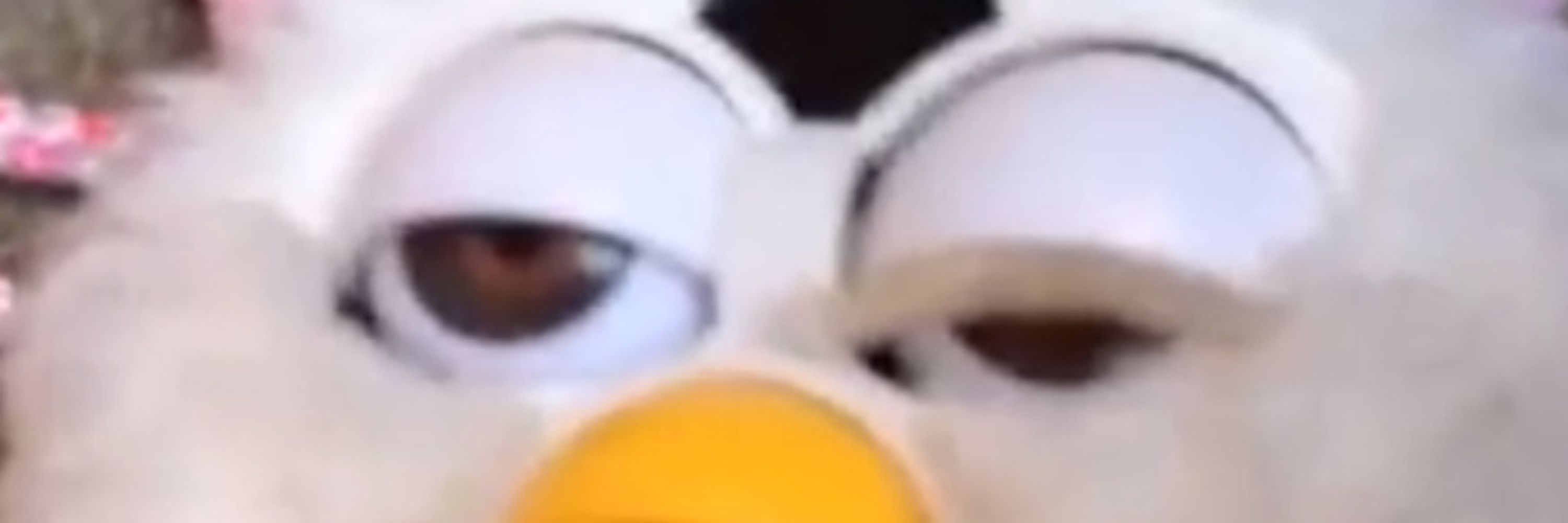 plasmo