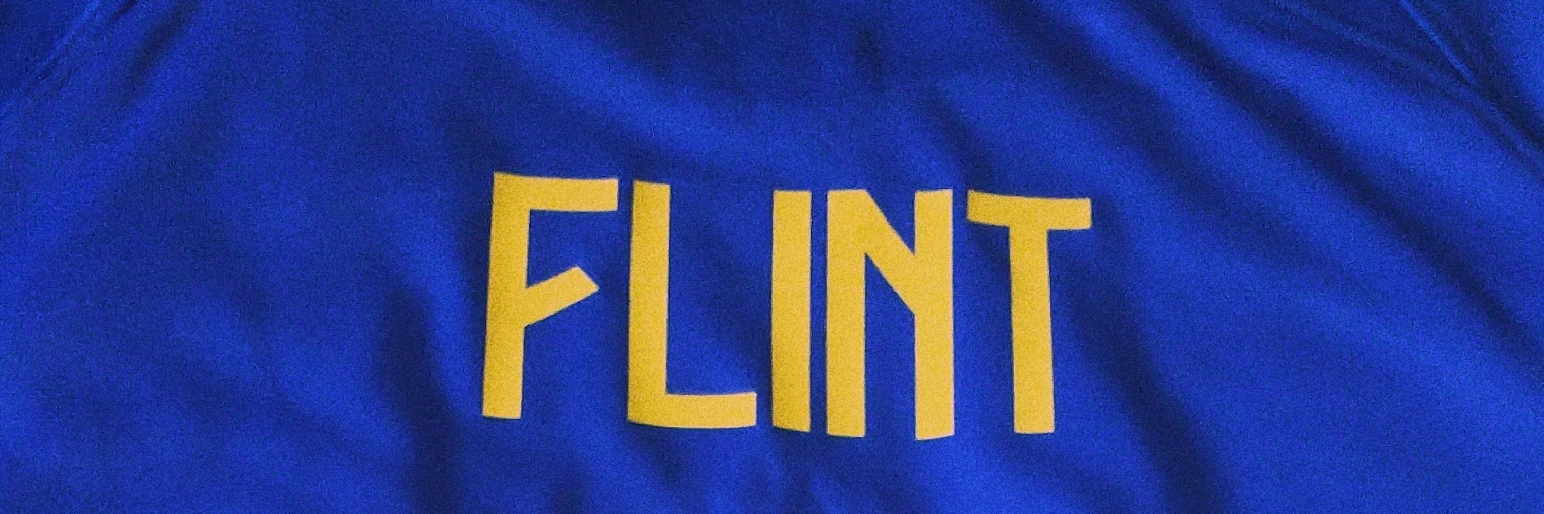 FL1NT