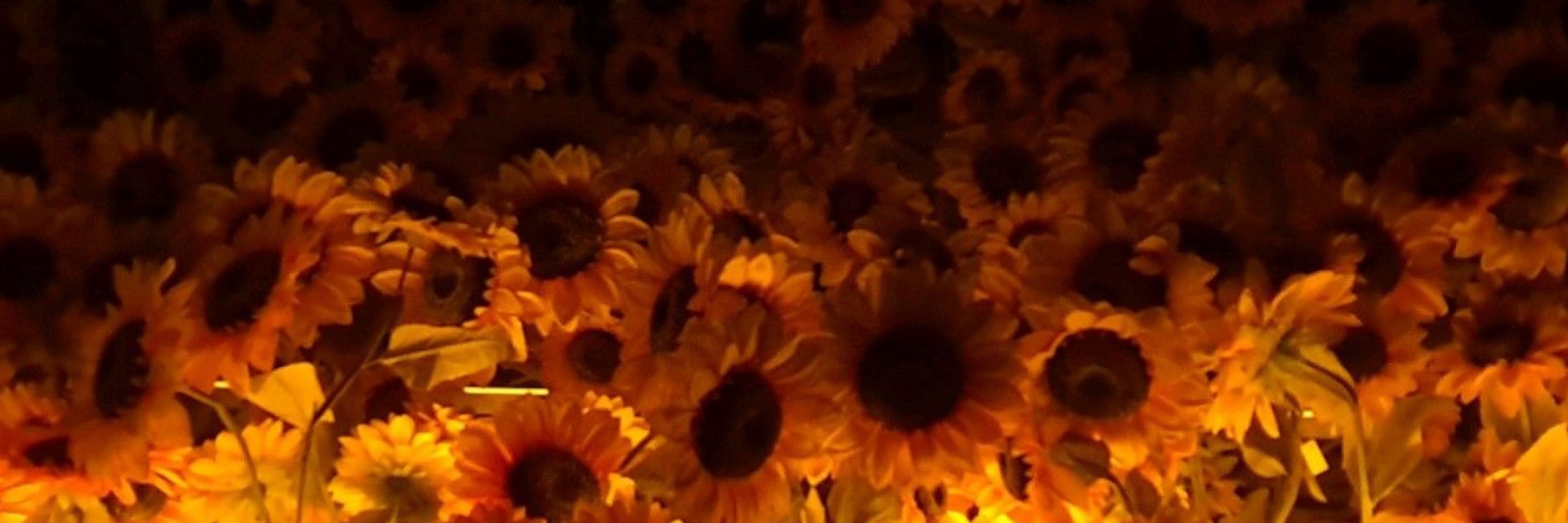 petri🌻