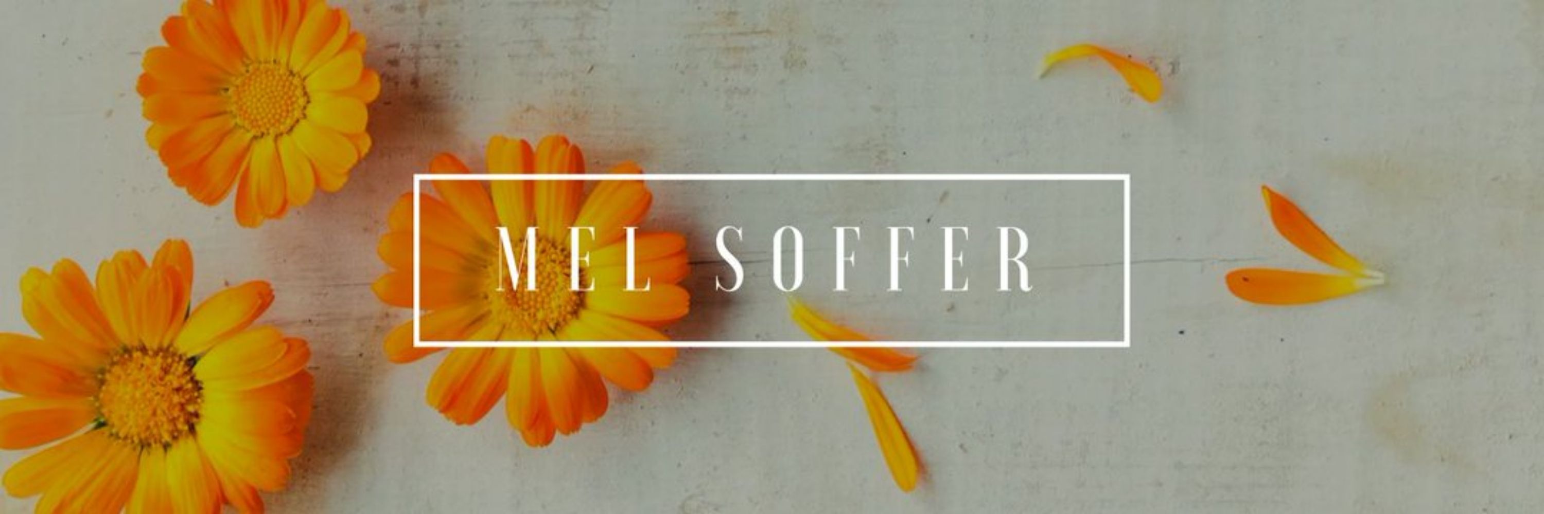 Mel Soffer