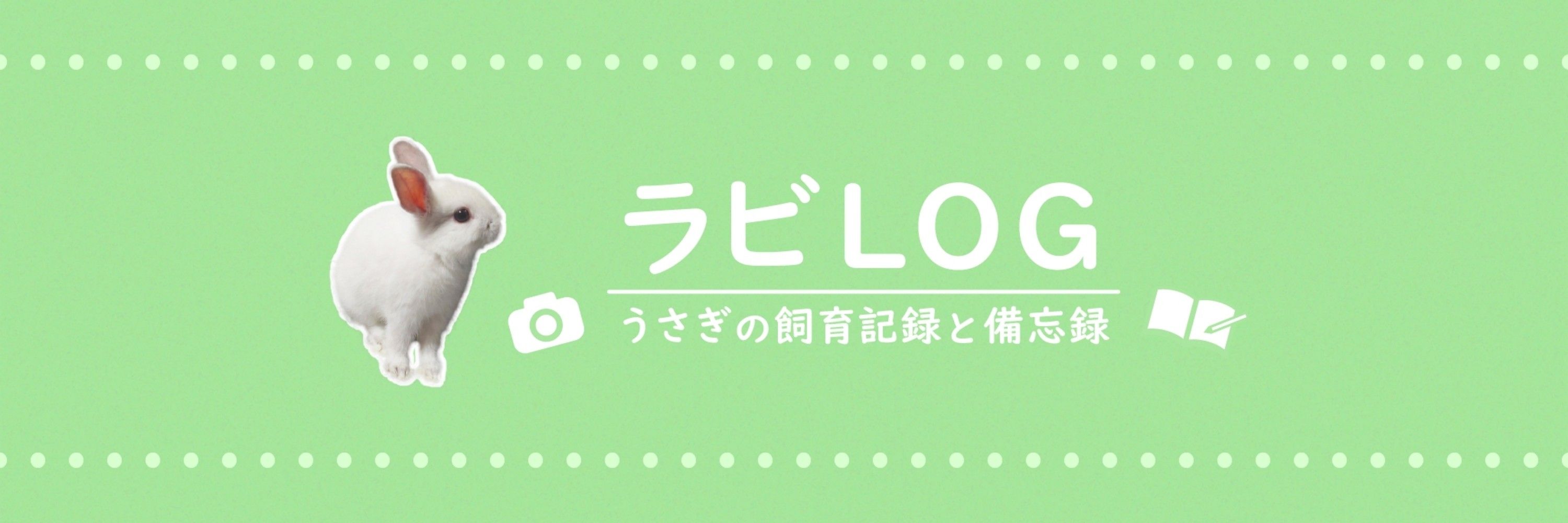 【ラビLOG】うさぎのぺぺ(ネザーランドドワーフ)