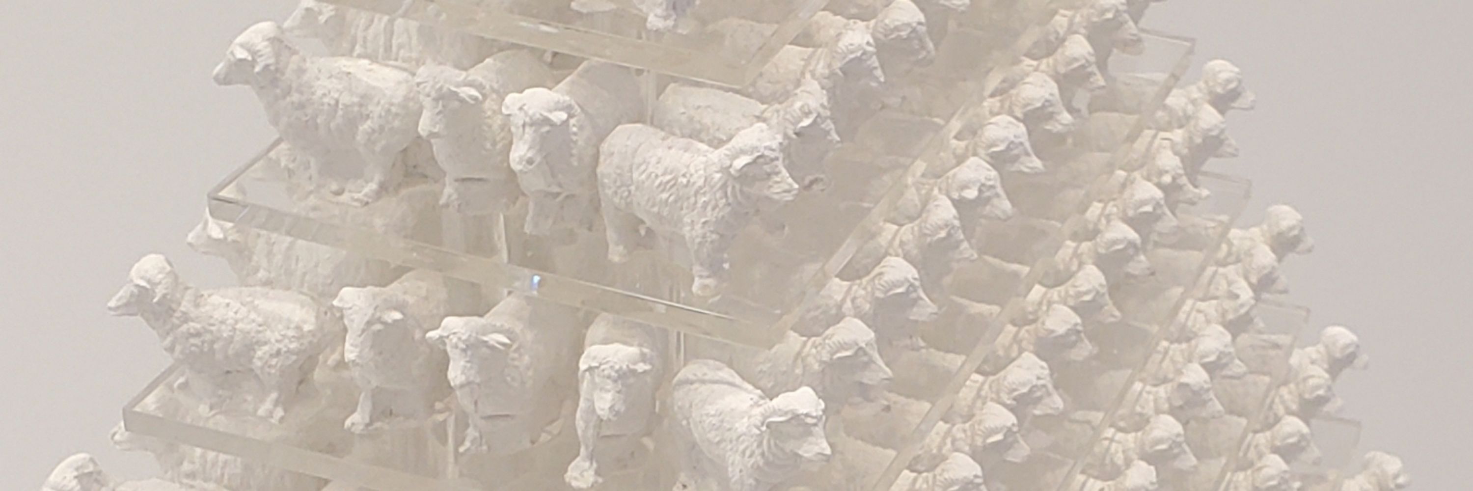 Let's not be sheep..