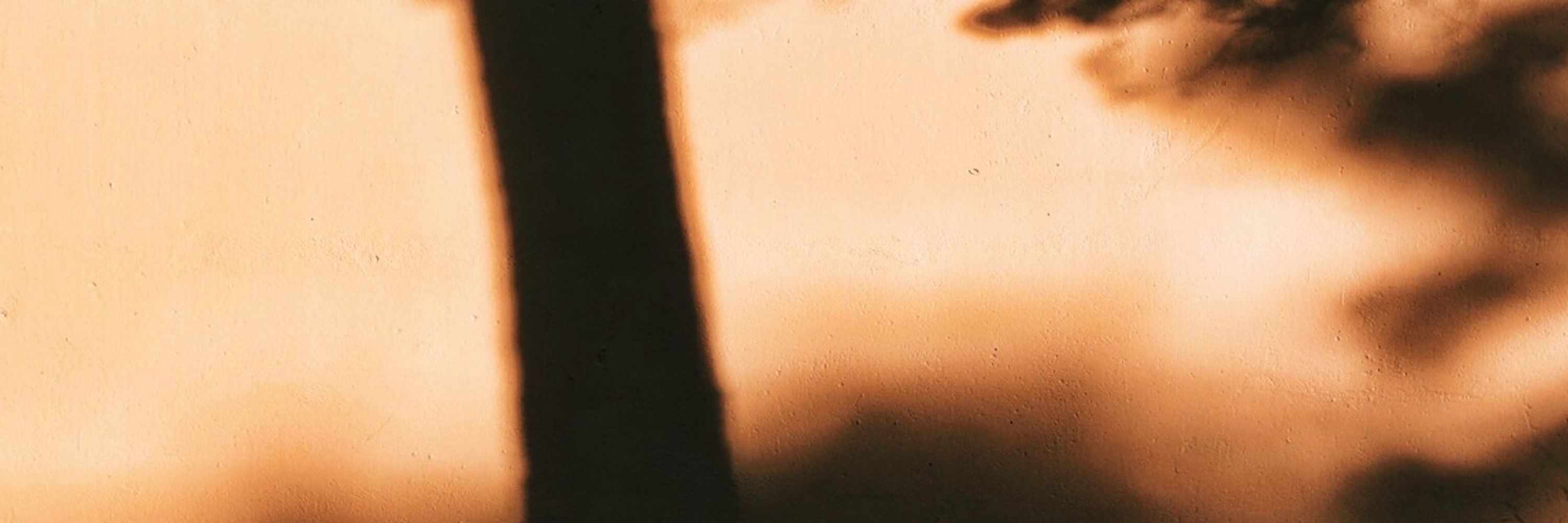 Eivind Hasvik