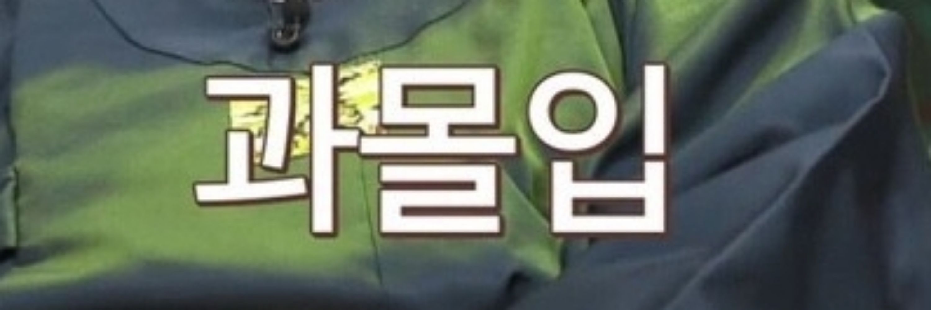 김차입
