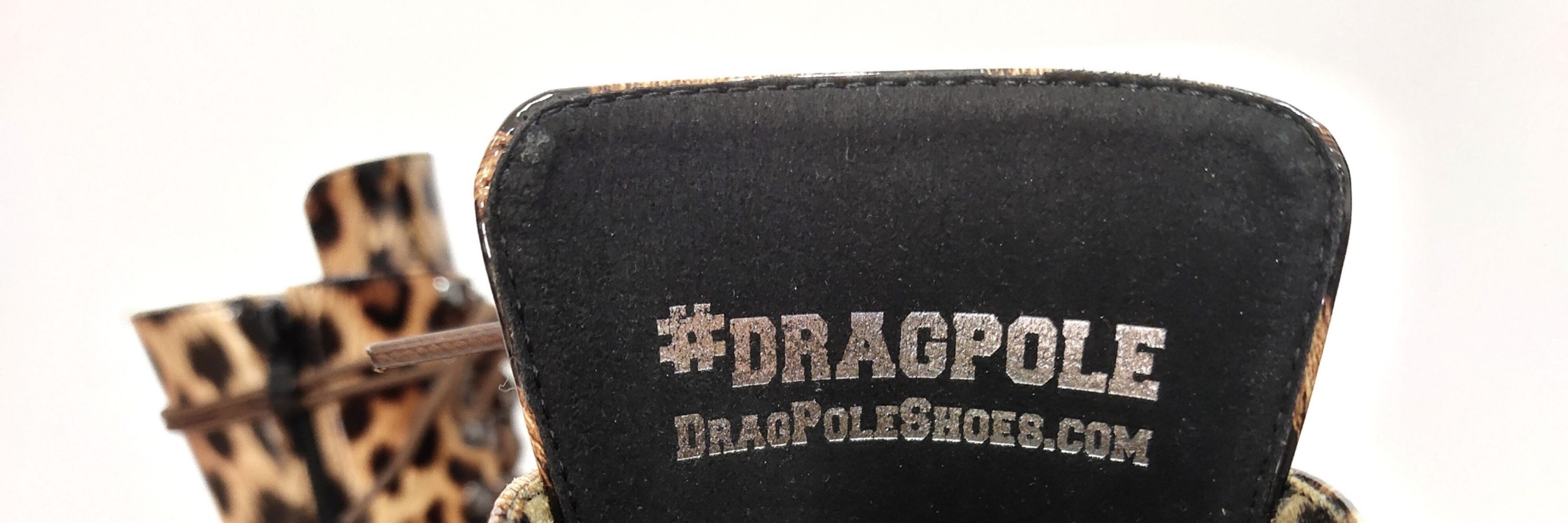 DragPoleShoes