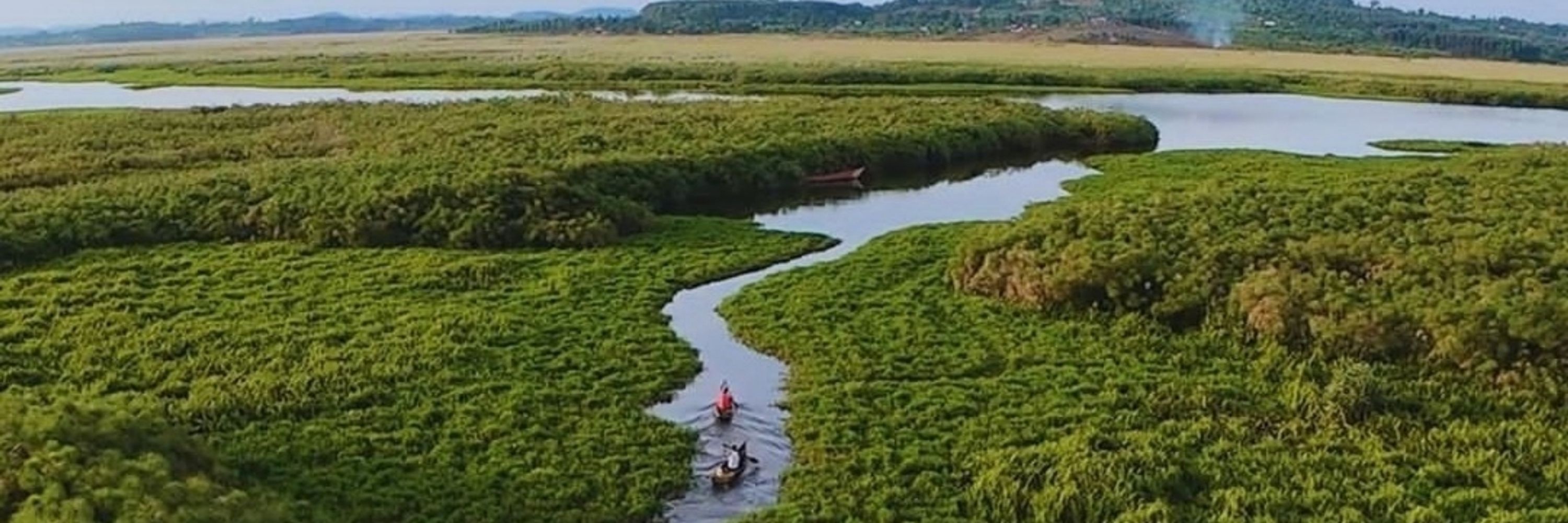 Mabamba Swamp