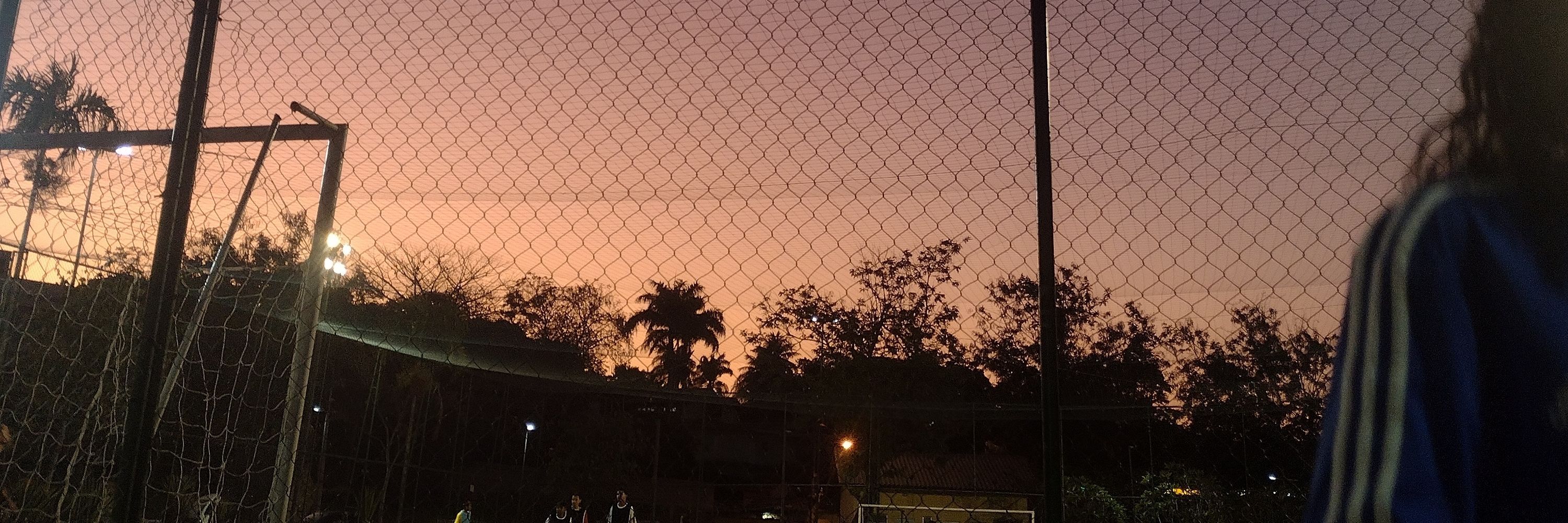 larinha