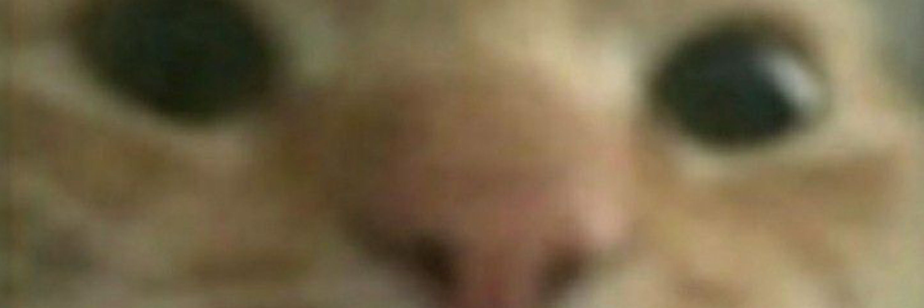ShawnSq11