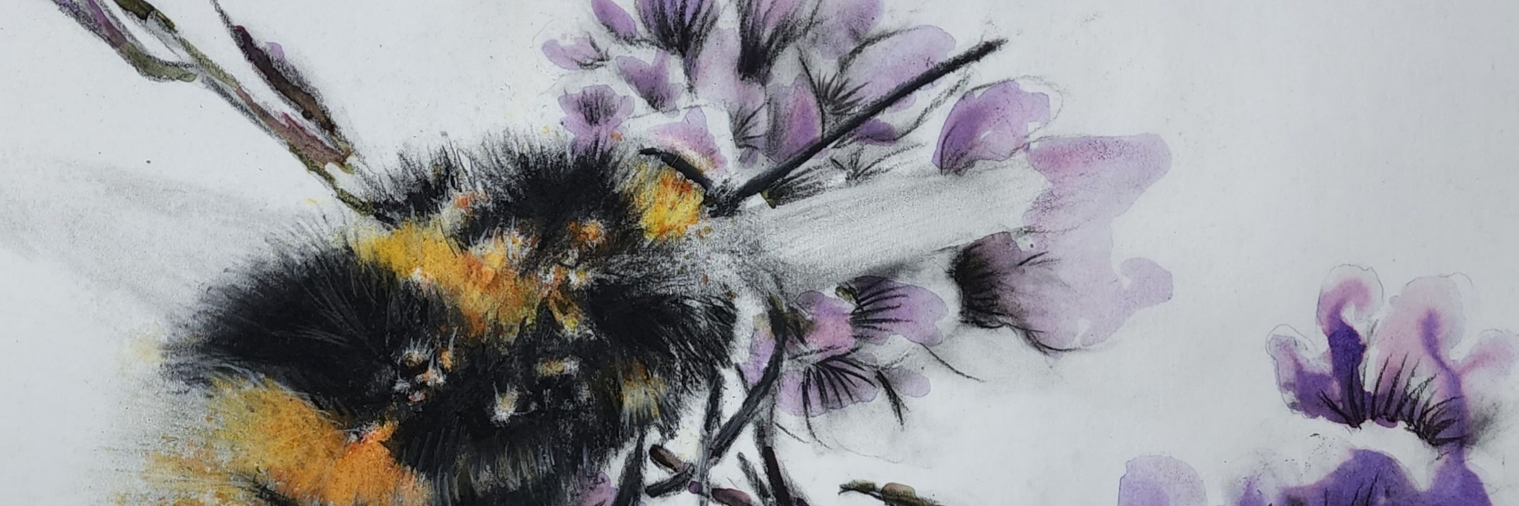 Jan Hackett Art