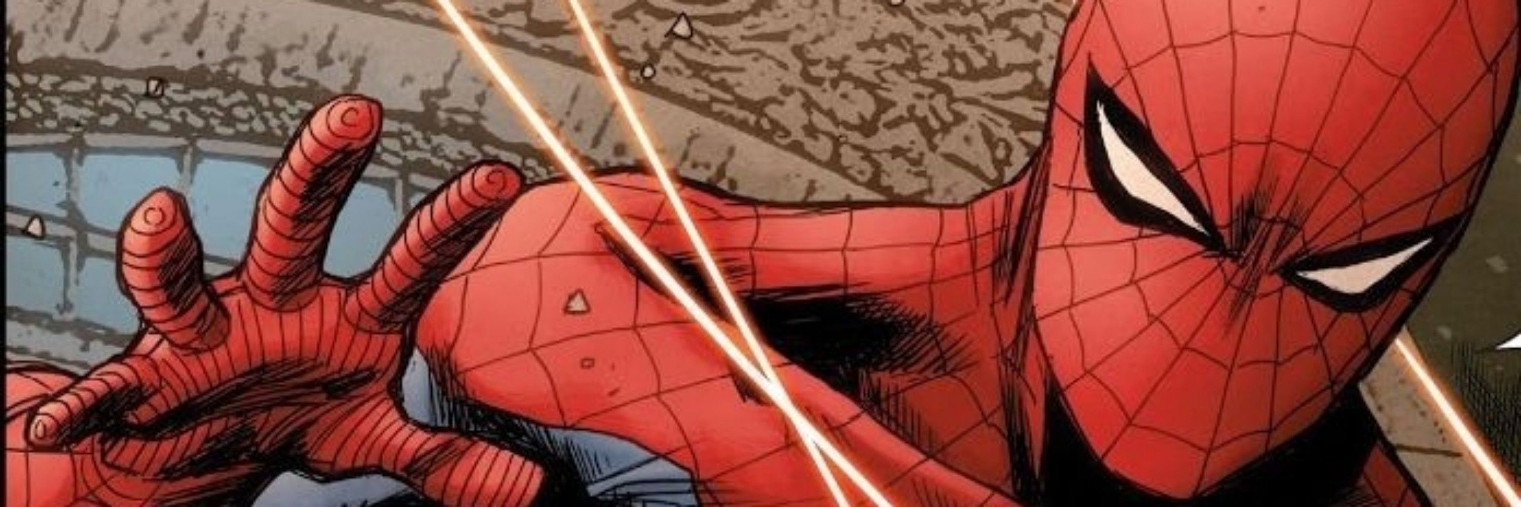 𝖑𝖎𝖒𝖆 🕸