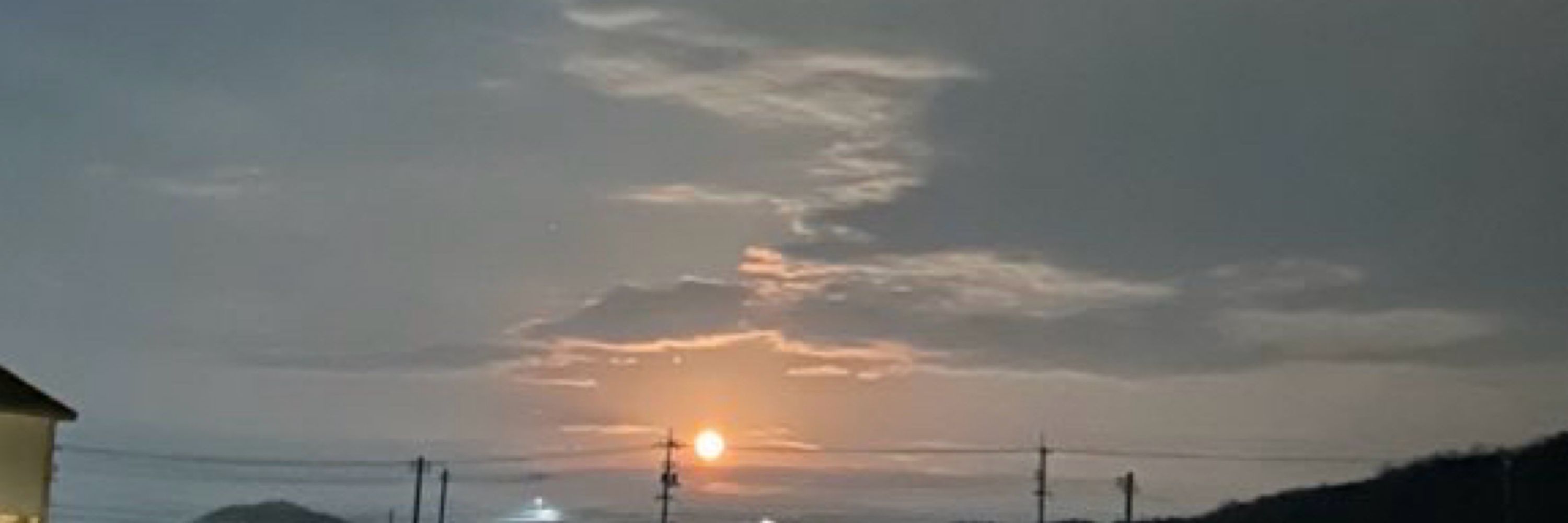 日本海のくらげꙭ