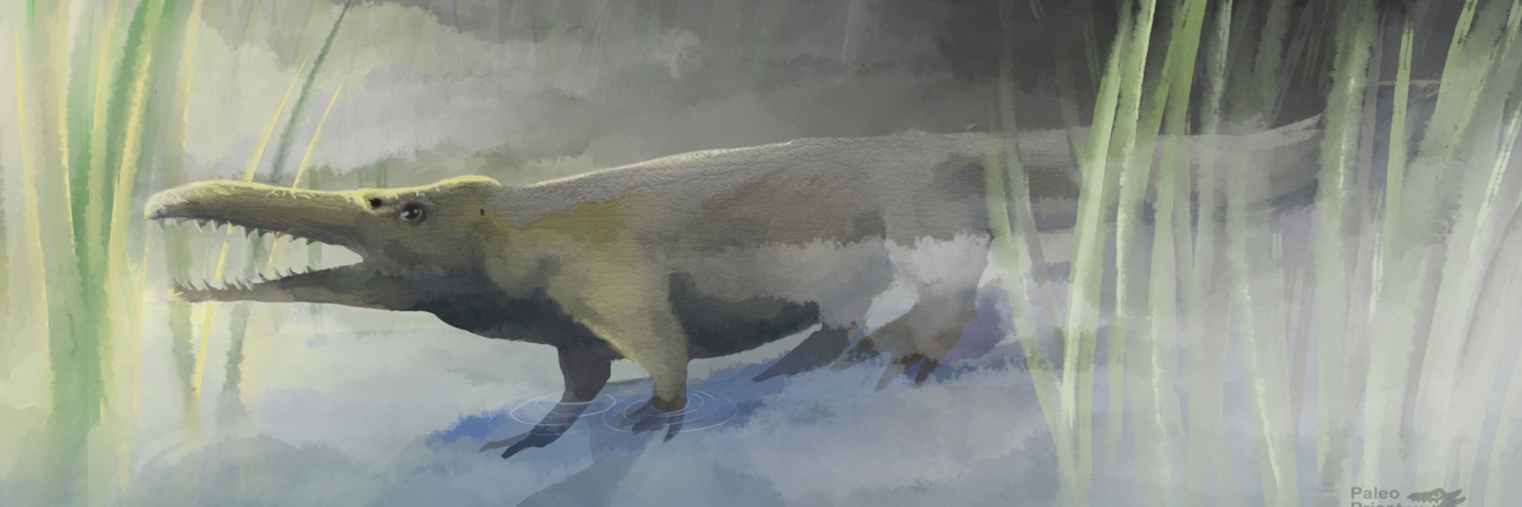 Paleo Priest