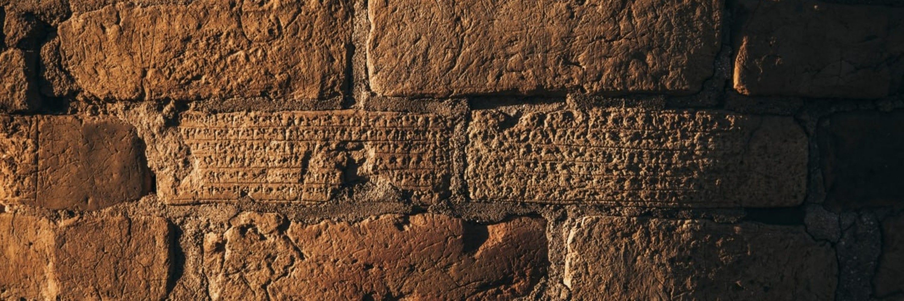 کوروش یزدانی