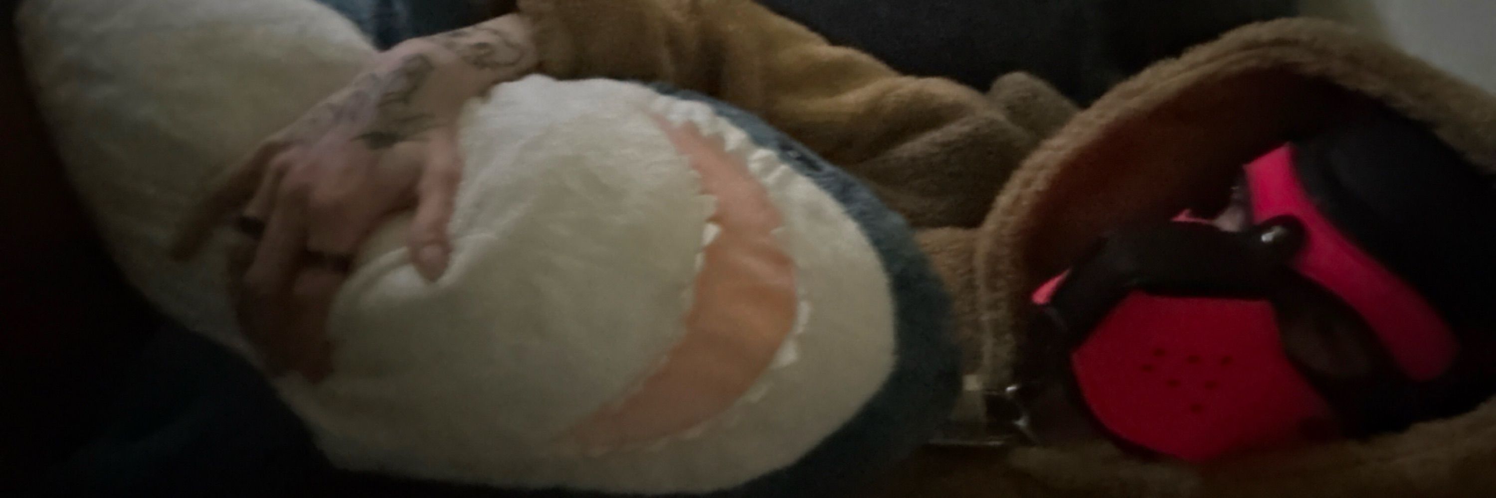 Raptor toy/submissive puppy