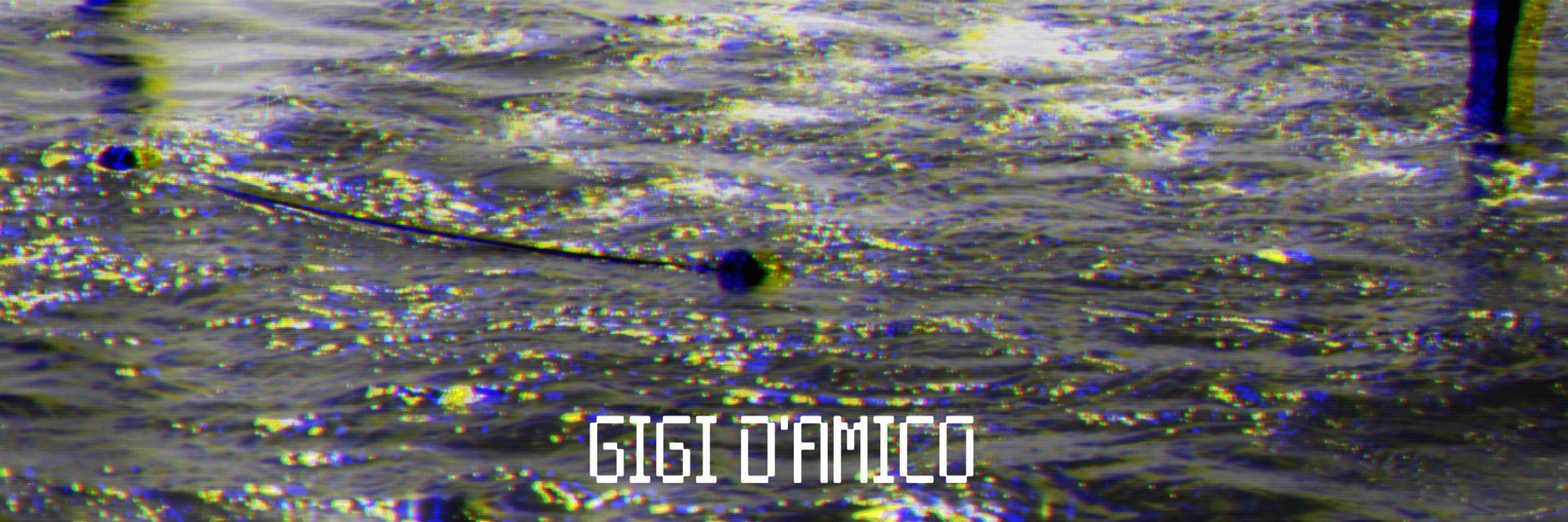 Gigi D'Amico