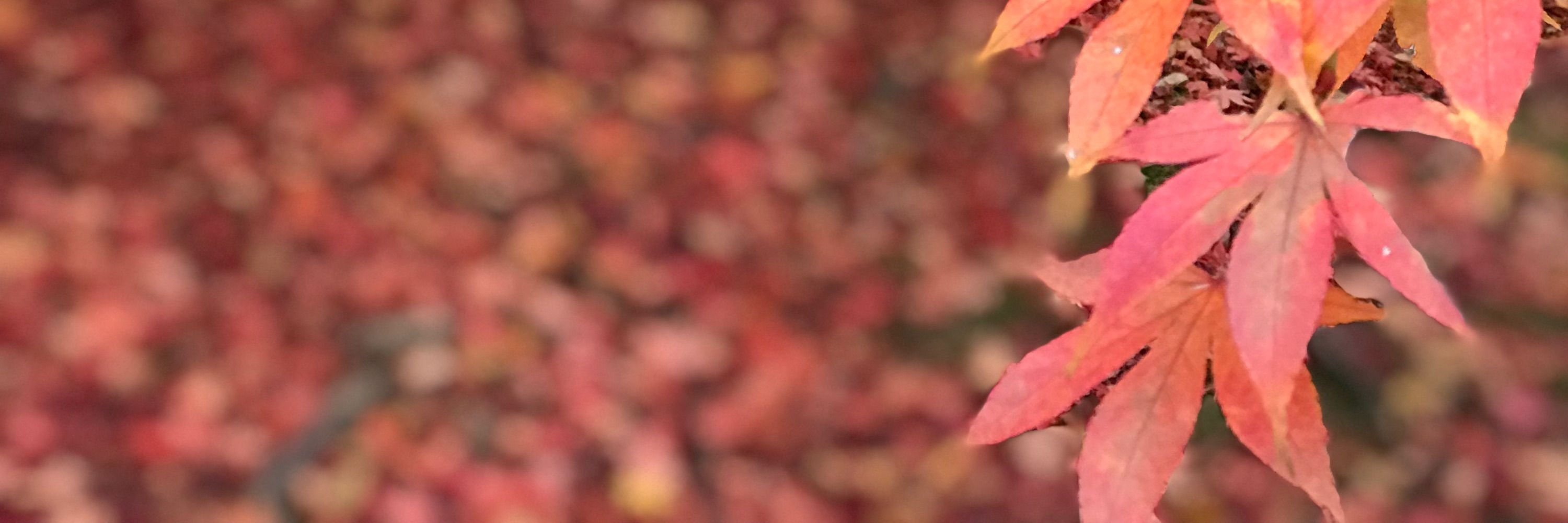 October