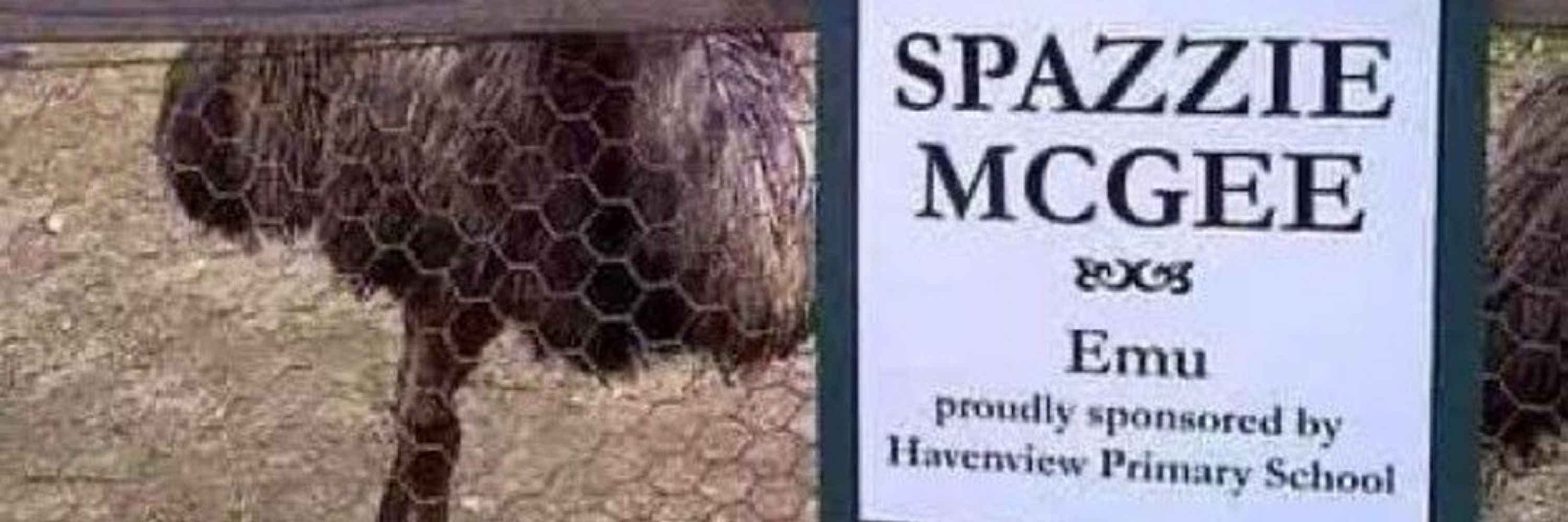 SpazzieMcGee