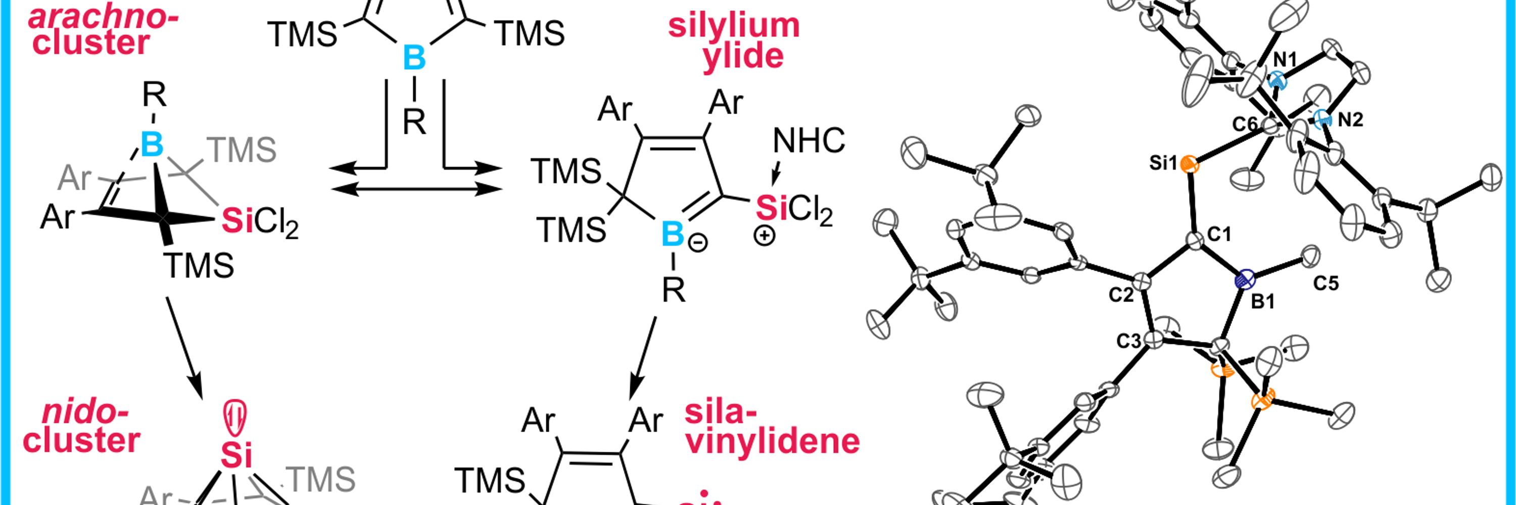 Sindlinger Lab