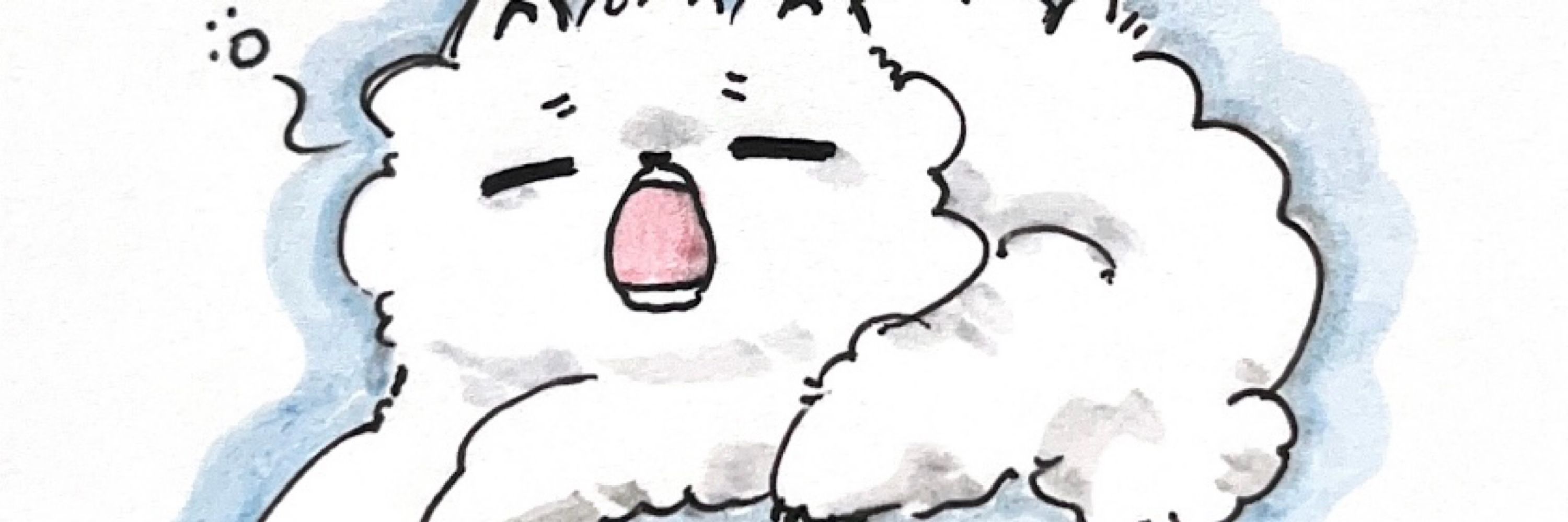 ぱめ