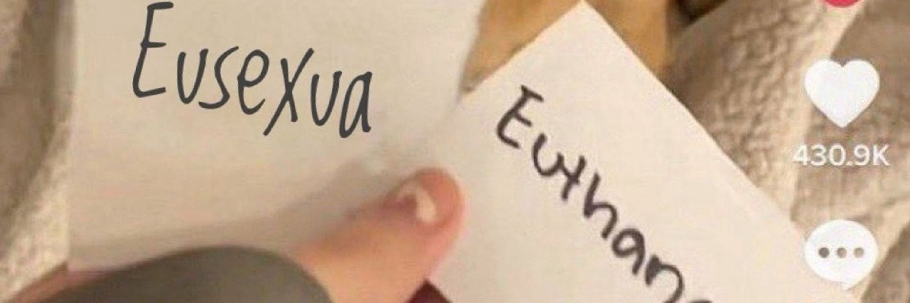 Ipe Ipe Burra