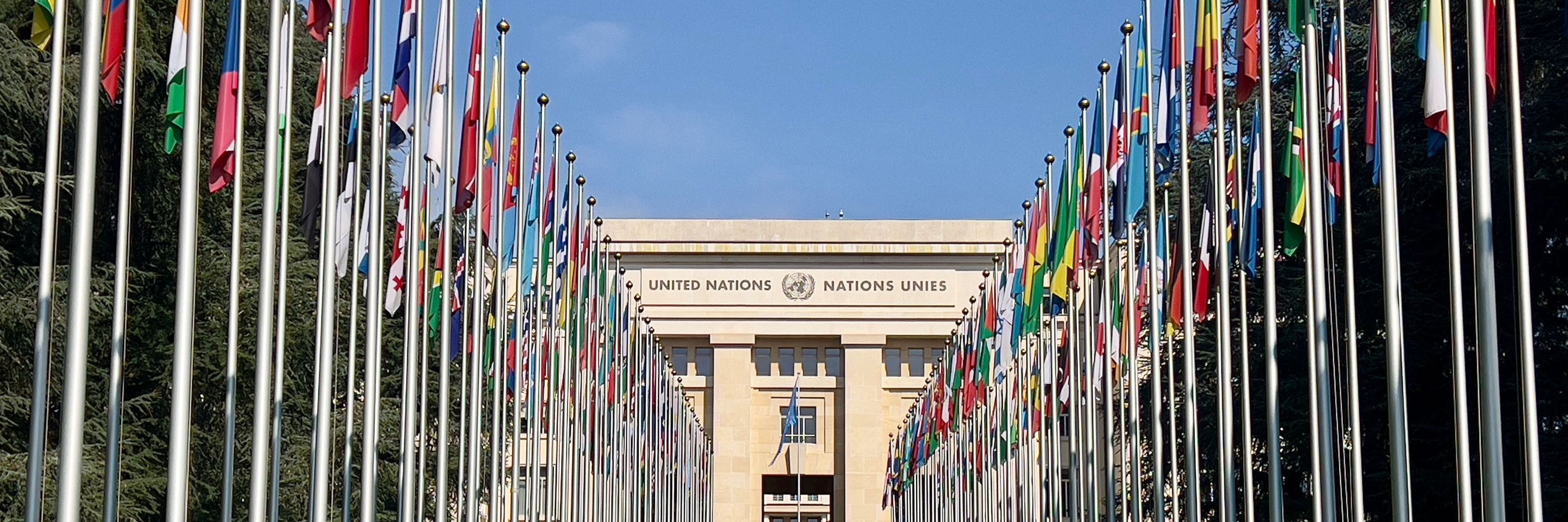 Luxembourg Mission in Geneva 🇱🇺🇺🇳