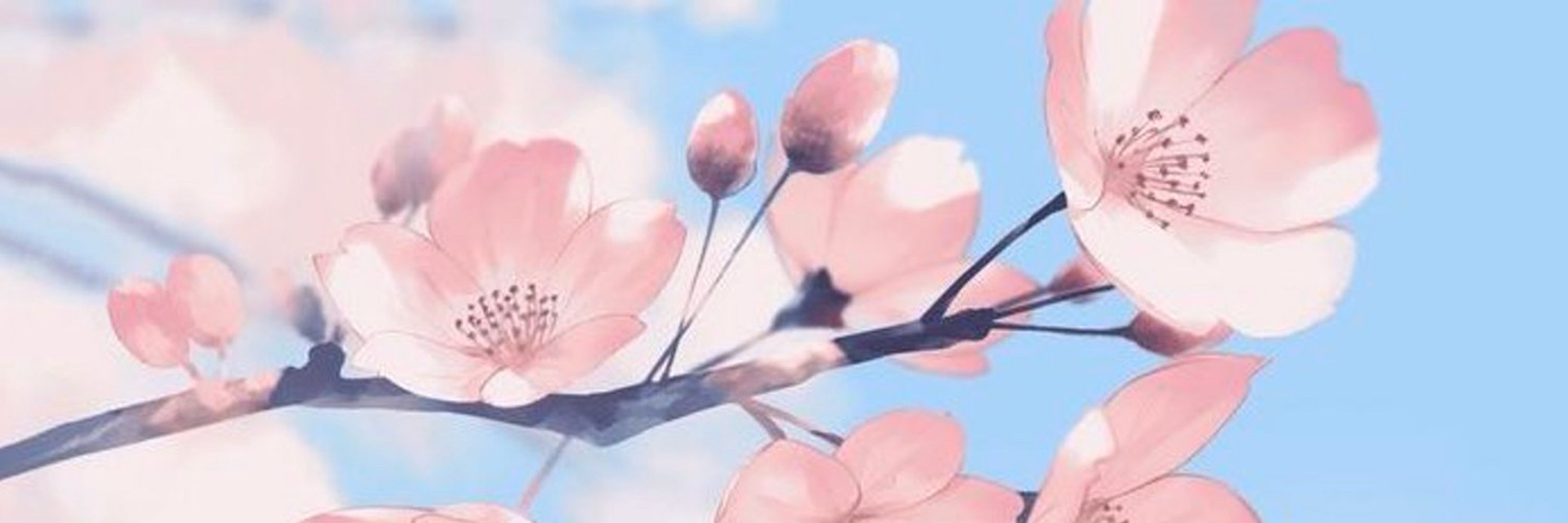 Yuna 🌸