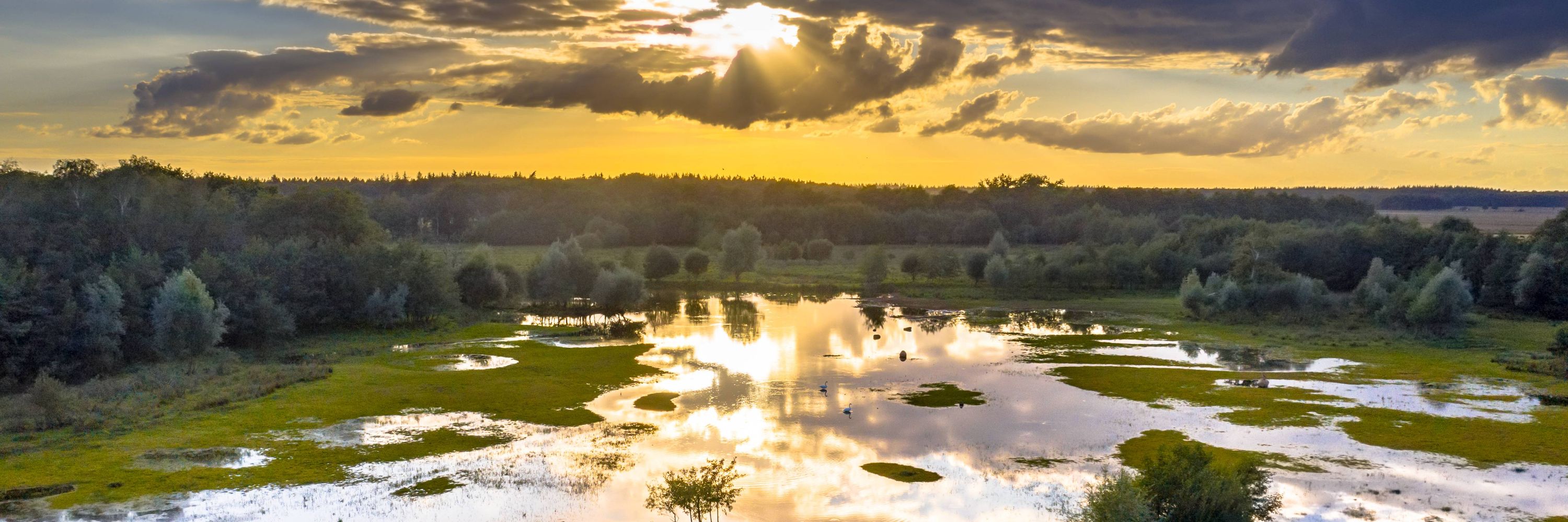 LandschappenNL