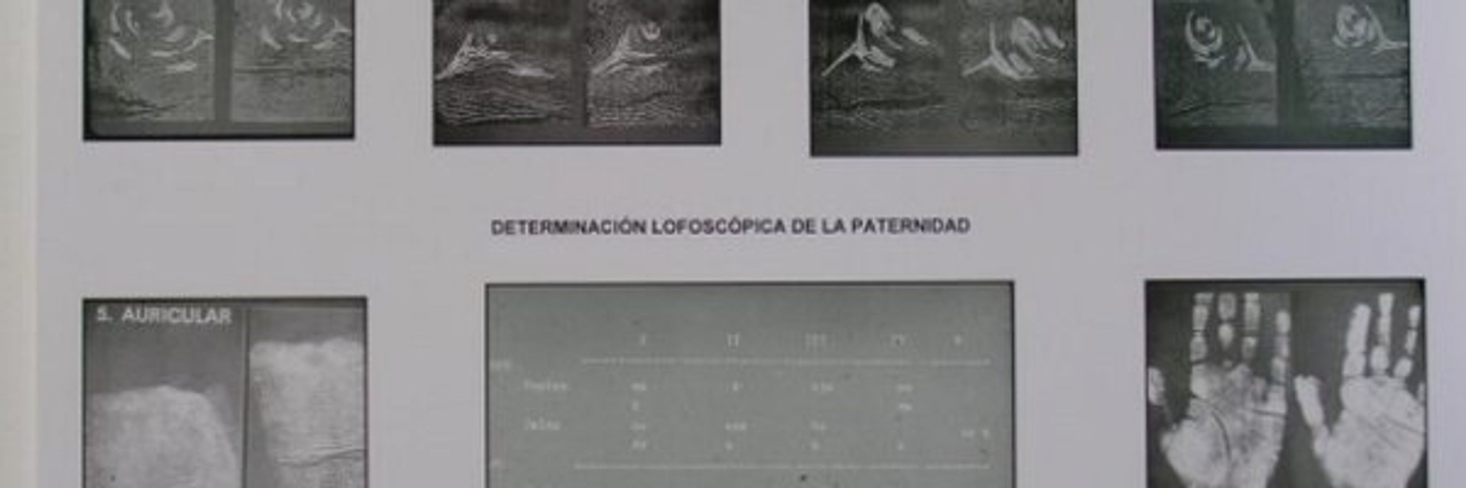Delitos y Pruebas