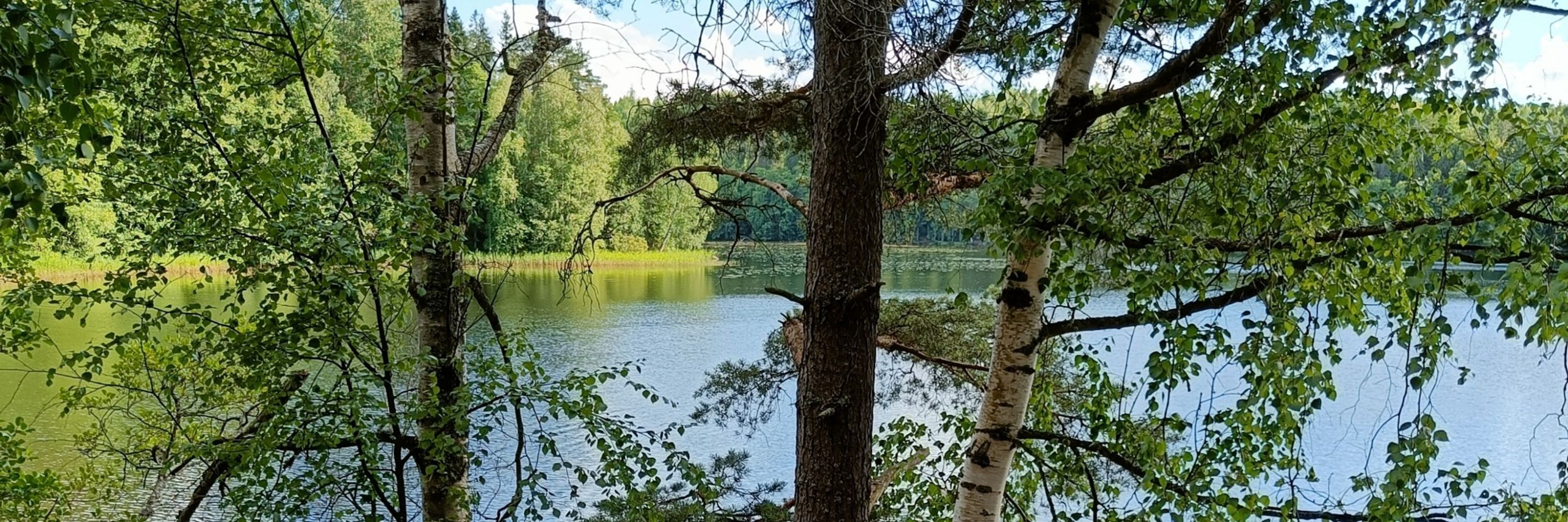 Hile-Maija Mattila