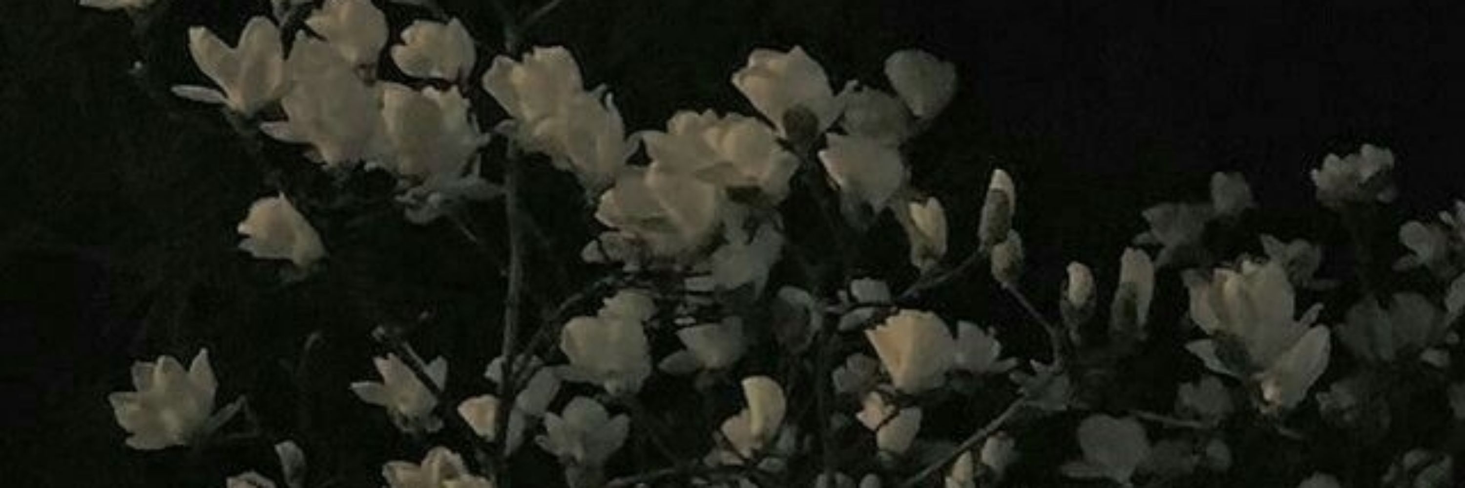윤슬