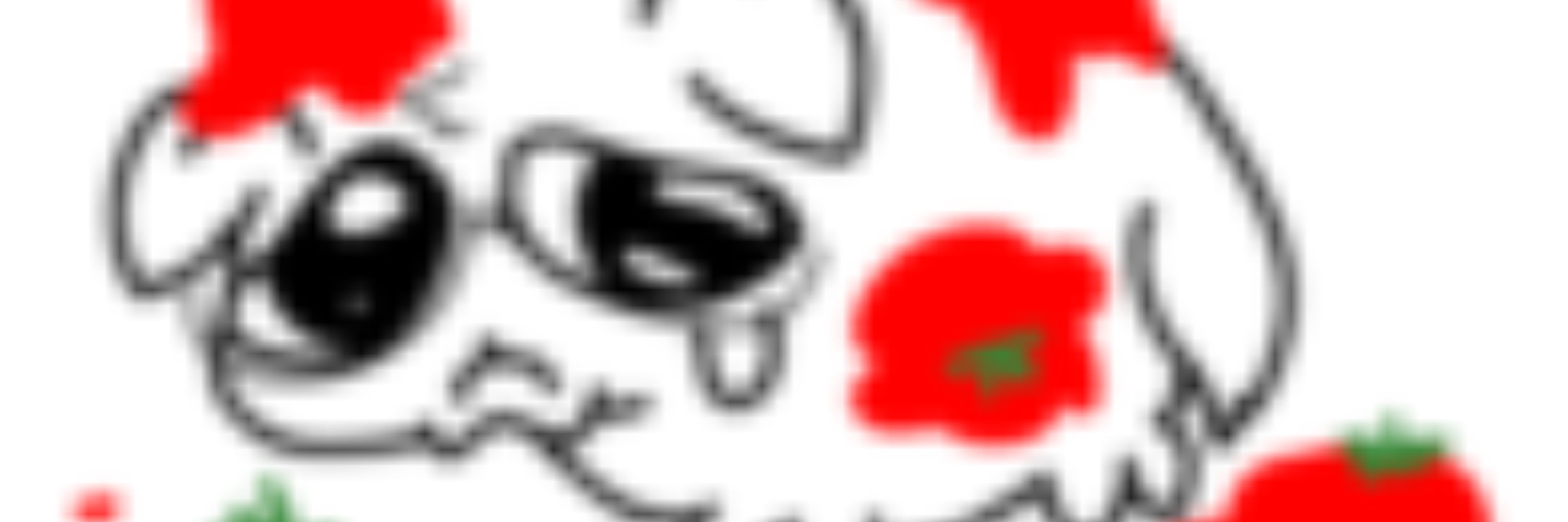 -SPXCTER-