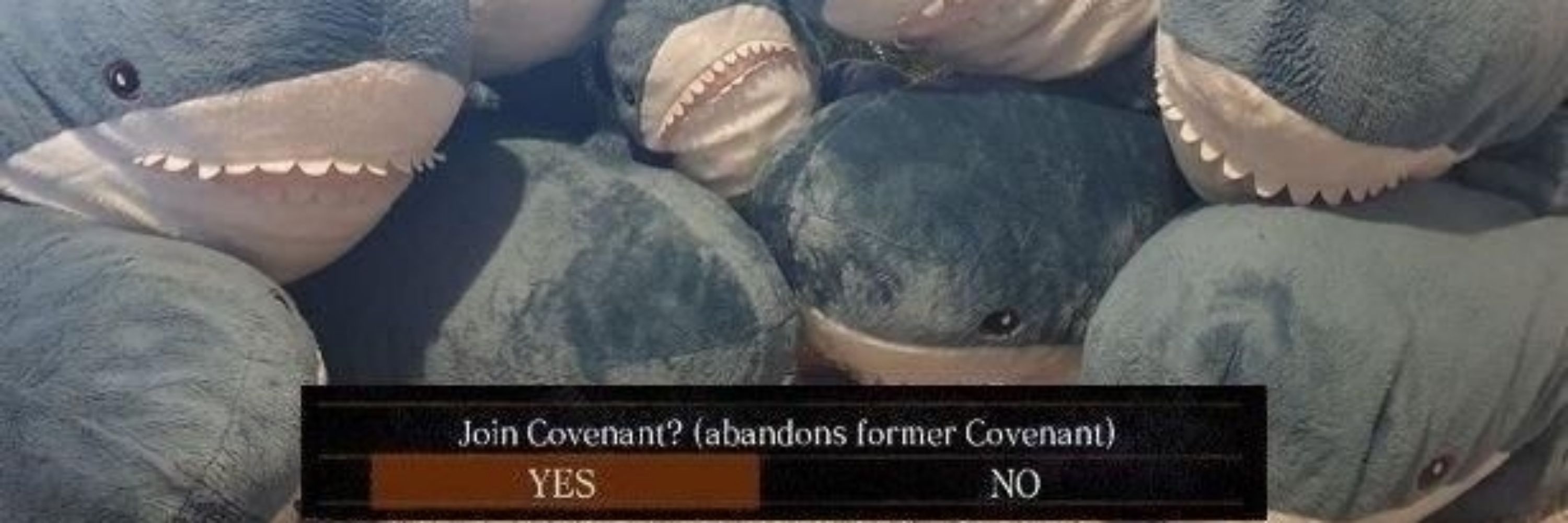 Graphically Enby SharkFox Wife