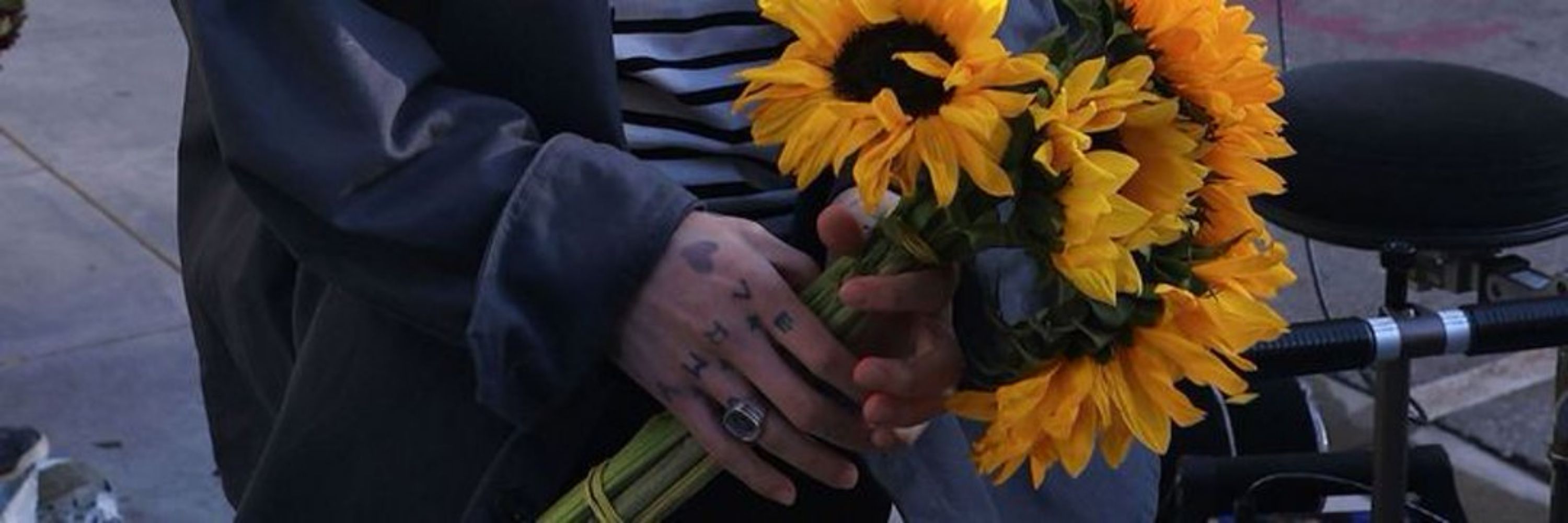 Gy⁷🌻