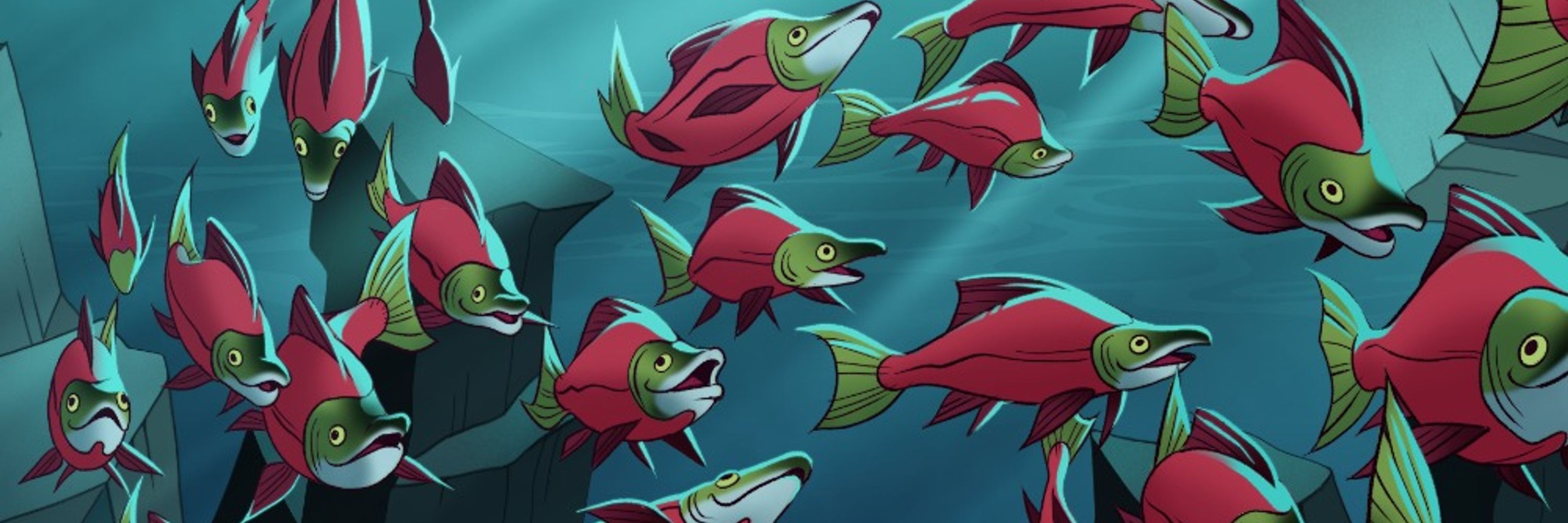 Salmon