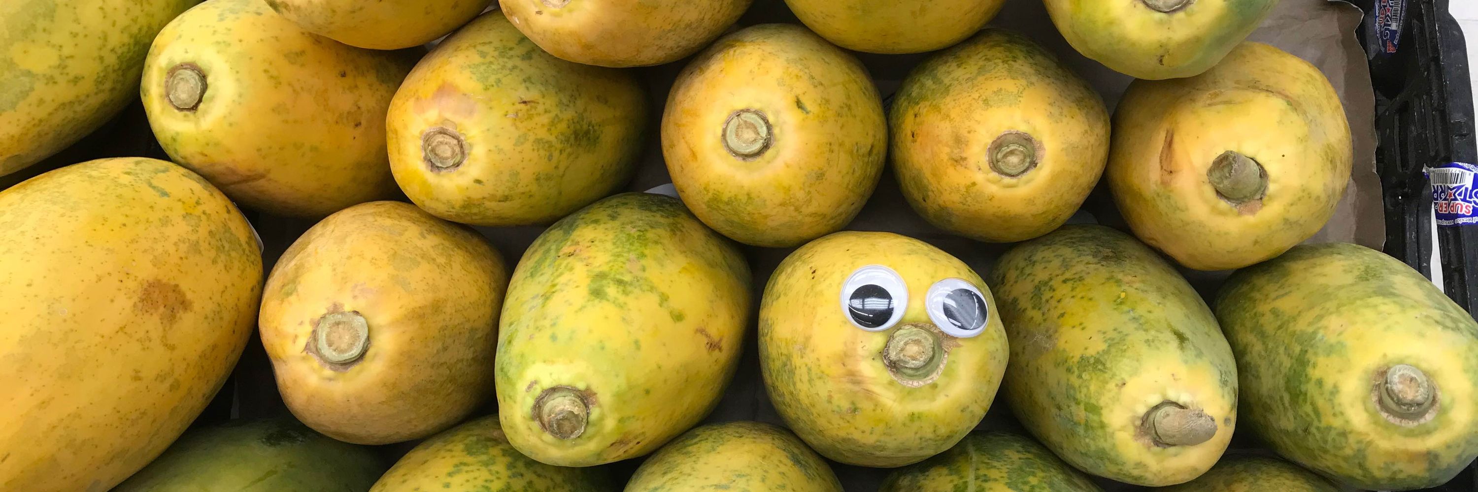 Crazybob