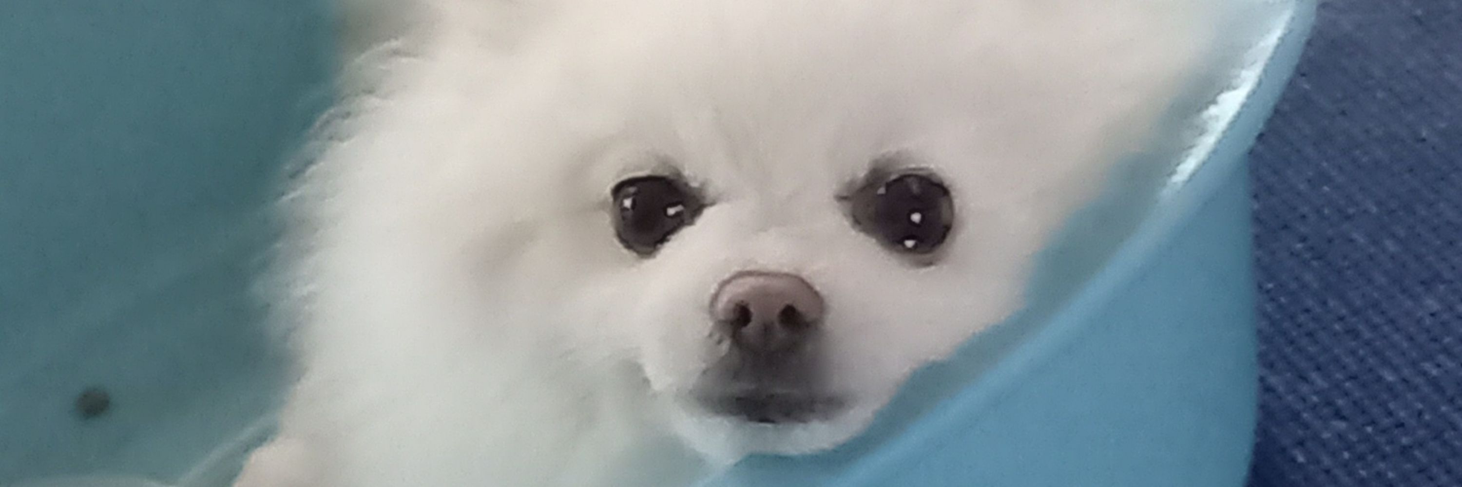 江口ニッカ
