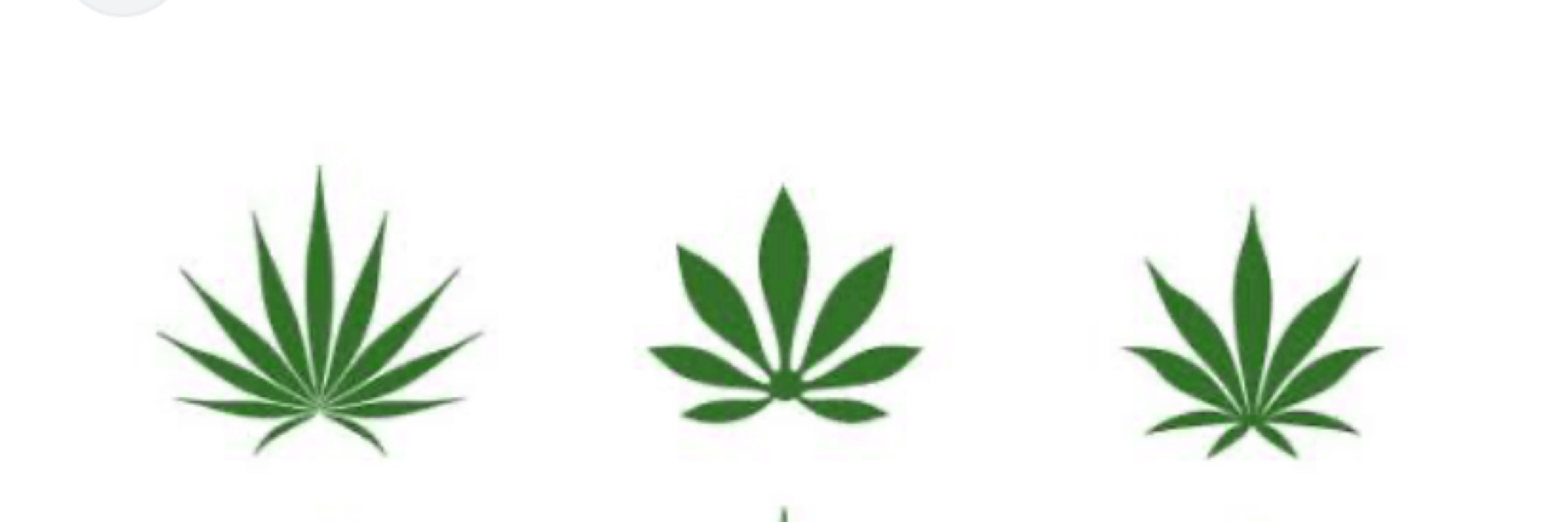 ste