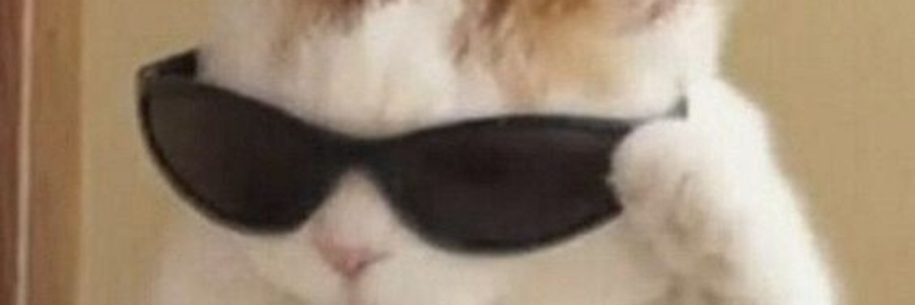 Renneer