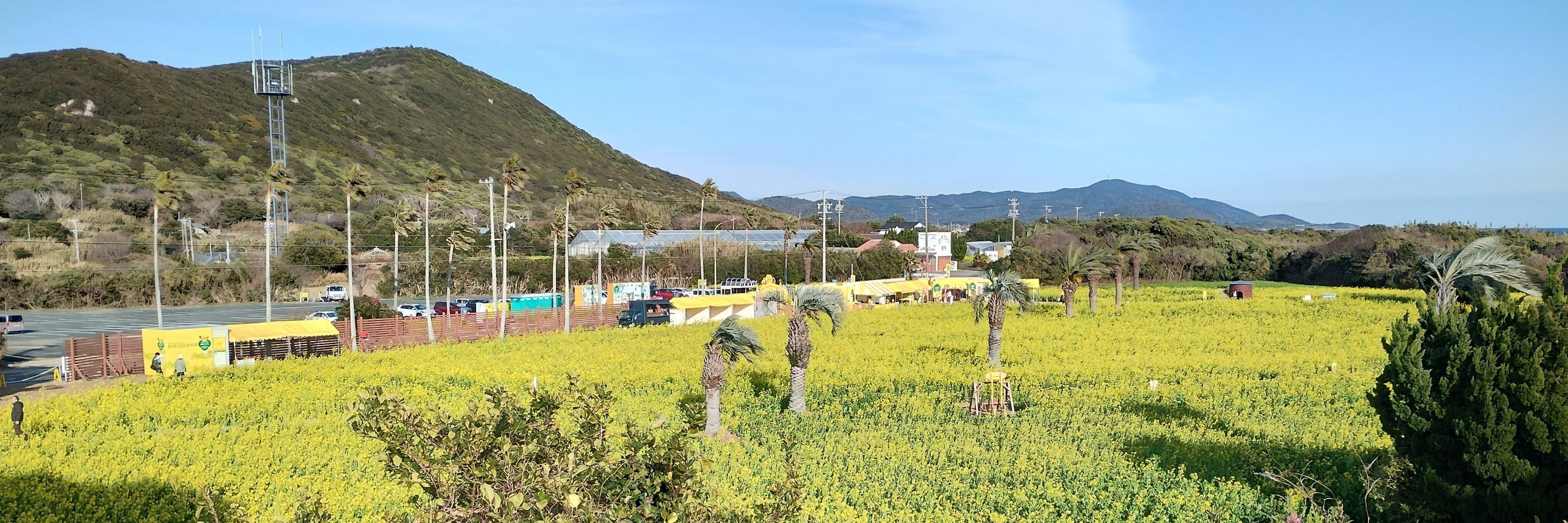 カタタカ